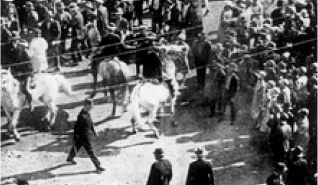 CFMEU History 1928 CFMEU History 1928