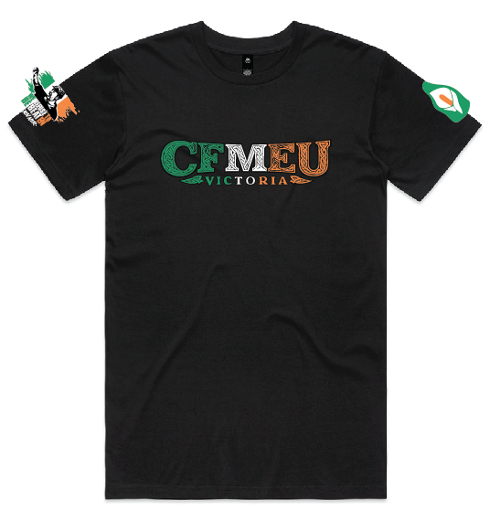 St Patricks Day 2026 Tee Mens